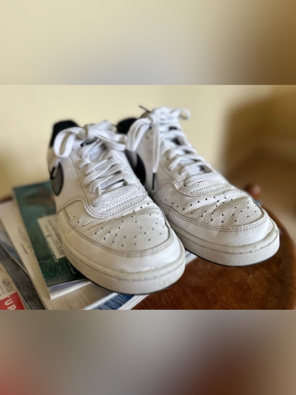Nike White Low-Top Sneakers with Black Swoosh Accents